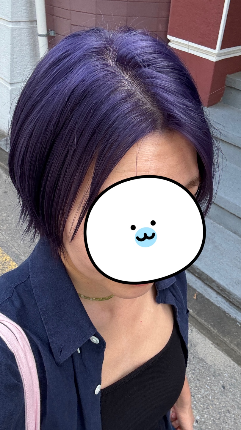 보라돌이의 귀환의 썸네일 이미지