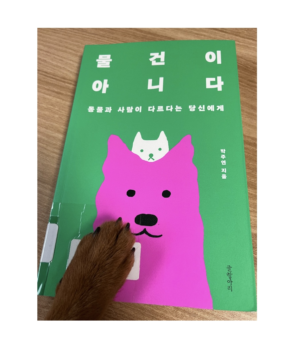 물건이 아니다. 동물과 사람이 다르다는 당신에게(박주연)_책글미 의 썸네일 이미지