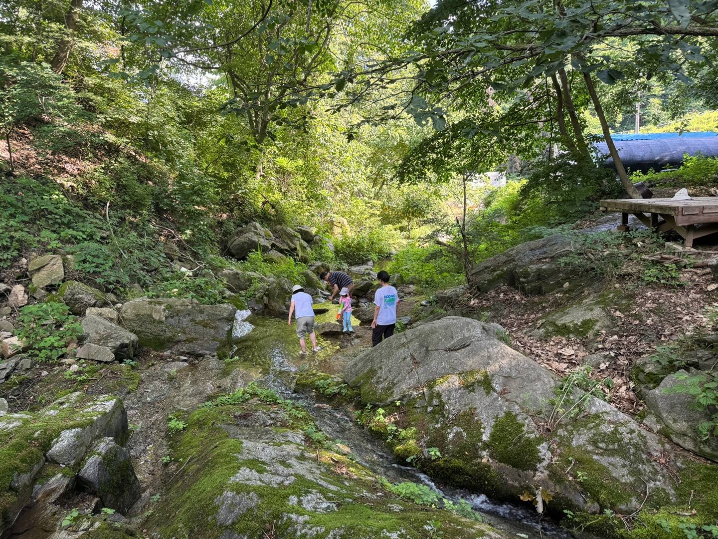 시원한 계곡에서 하는 물놀이!