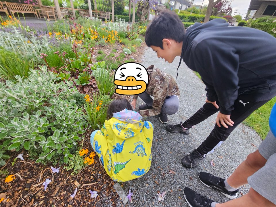 첨부 이미지