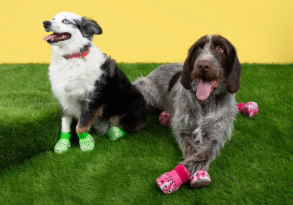 Crocs Is Releasing Shoes For Dogs