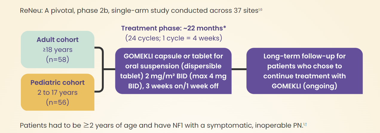 출처: Gomekli 홈페이지