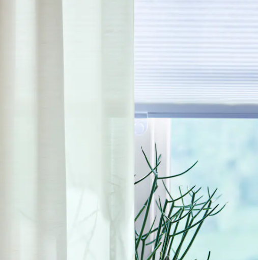 사진출처 홈페이지