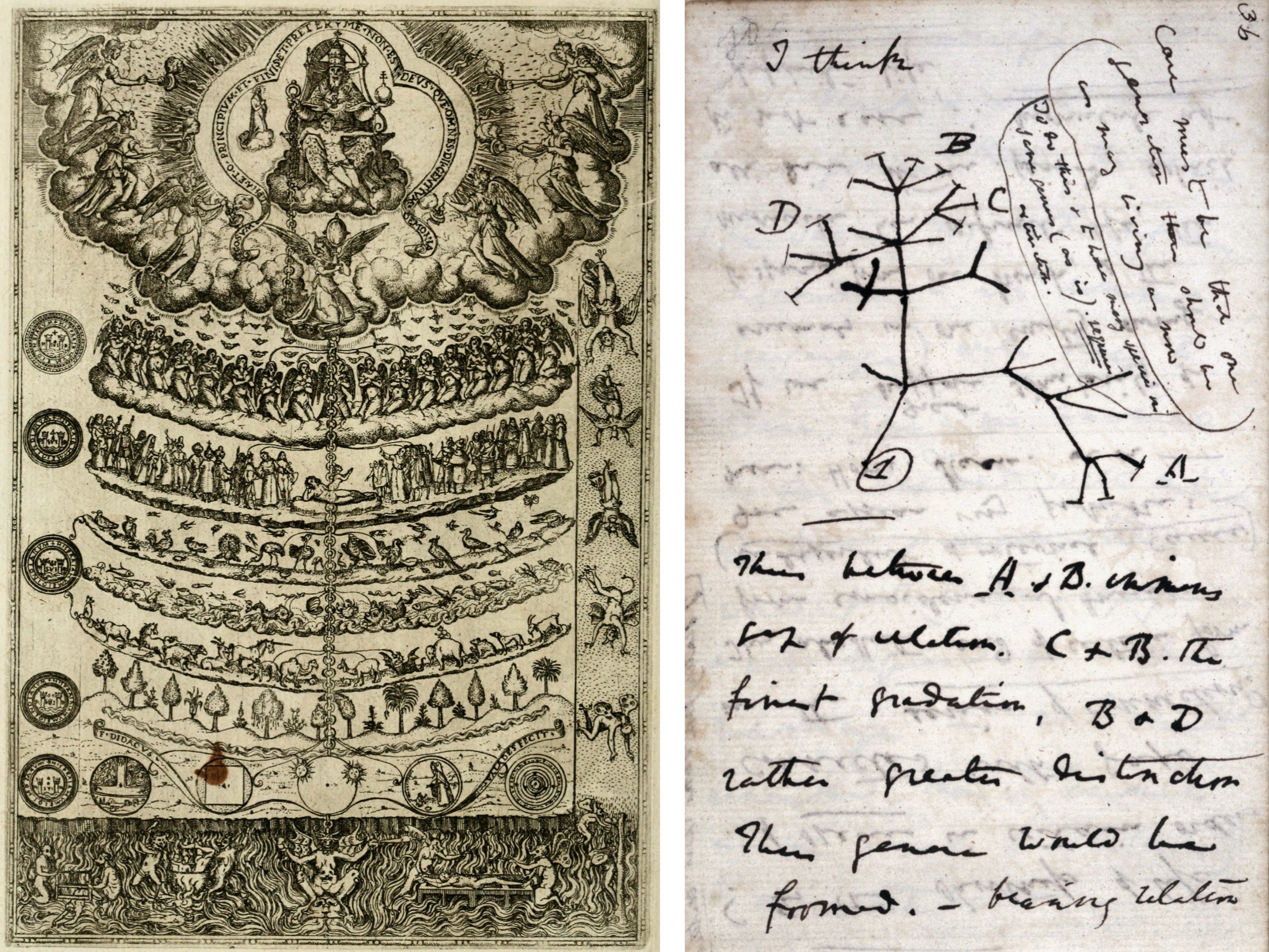 서구 문화가 19세기 중반까지 이어온 기독교적 세계관(존재의 거대한 고리 Great chain of being, 왼쪽)과 찰스 다윈이 자신의 노트에 스케치한 '생명의 나무'(오른쪽). 1837년 비글호 여정을 마친 다윈이 '종간 변이(Transmutation of Species)' 주제로 남긴 메모는 인간을 포함한 생명 전체를 바라보는 시선을 송두리째 바꿔놓았다.