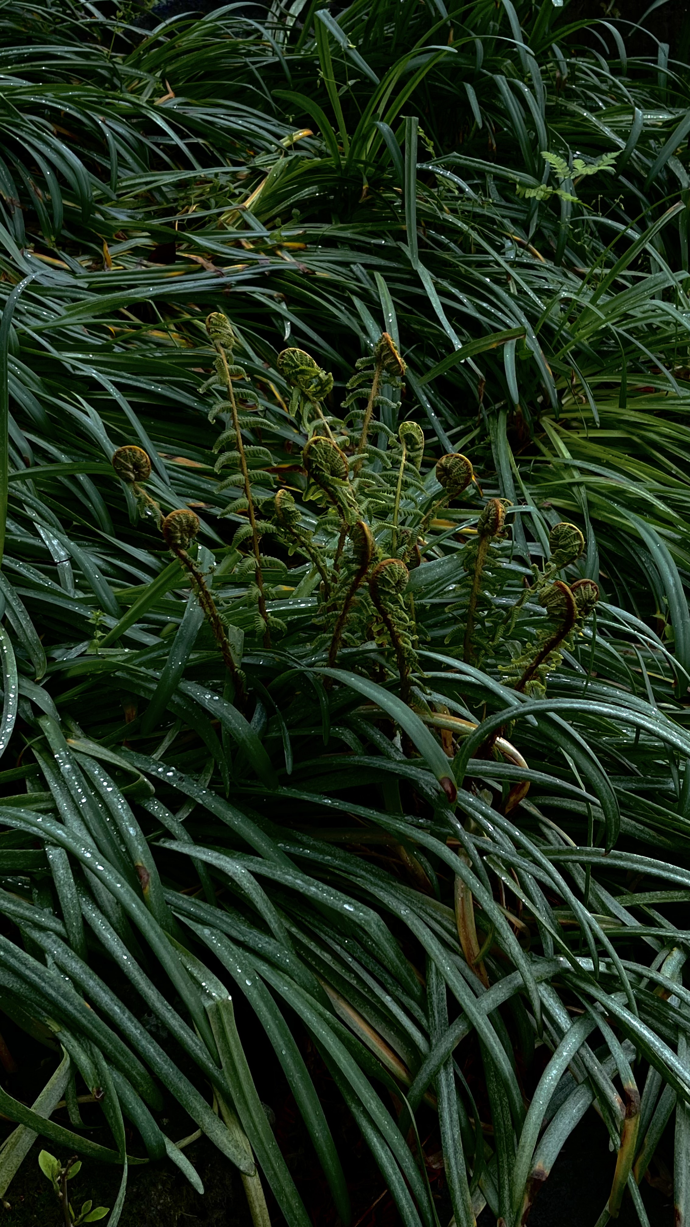 이번 주 제주도 여행에서 찍은아주 마음에 드는 사진을뇌물로 바칠게요.
