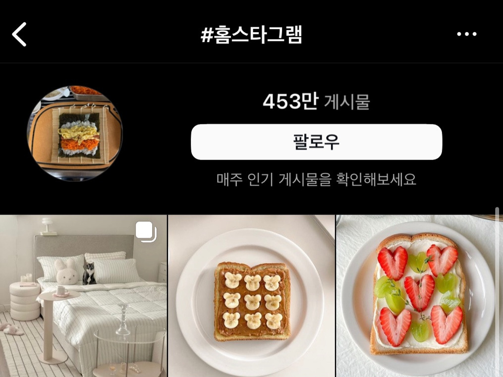 [출처: 인스타그램] 홈스타그램 게시물.