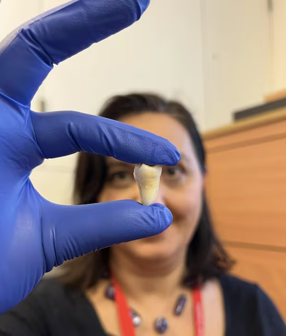 볼포니 킹스칼리지런던 박사. / 킹스칼리지런던 제공