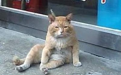 날씨야 우리 오후에 좋았잖ㅎr...