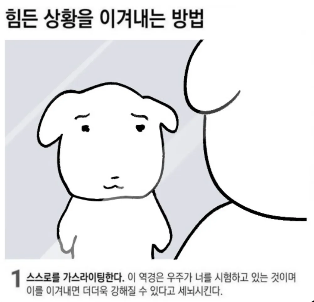 이미지 = X 캡처 (https://x.com/bdemgmr/status/1817961397424443542)