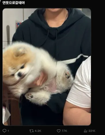 이미지 = X캡처 (https://x.com/S2hodola/status/1941648906171056426)