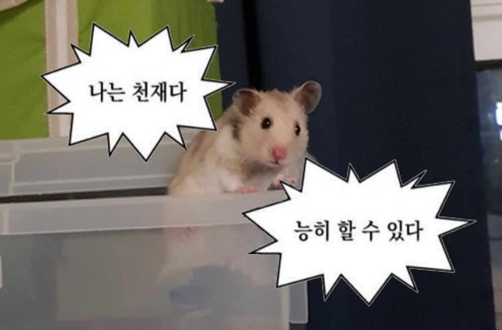 이미지 = 네이버 블로그 캡처 (https://blog.naver.com/vcutyv/222207520017)