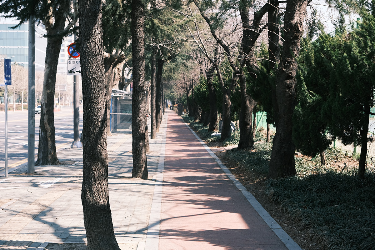 나뭇가지는 아직 앙상하지만, 볕이 제법 뜨수워 걷기 좋고요