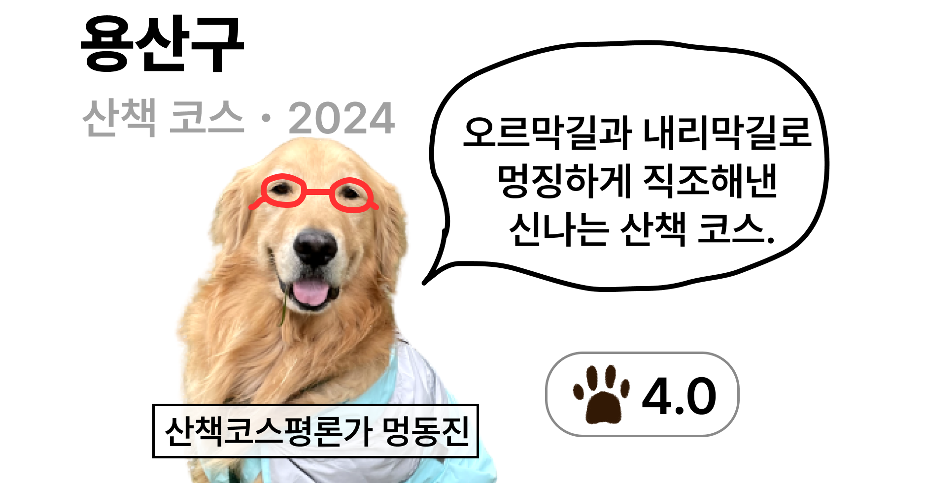#02. [용산구] 사실 용산구는 진짜 유명한 개판(positive)임의 썸네일 이미지