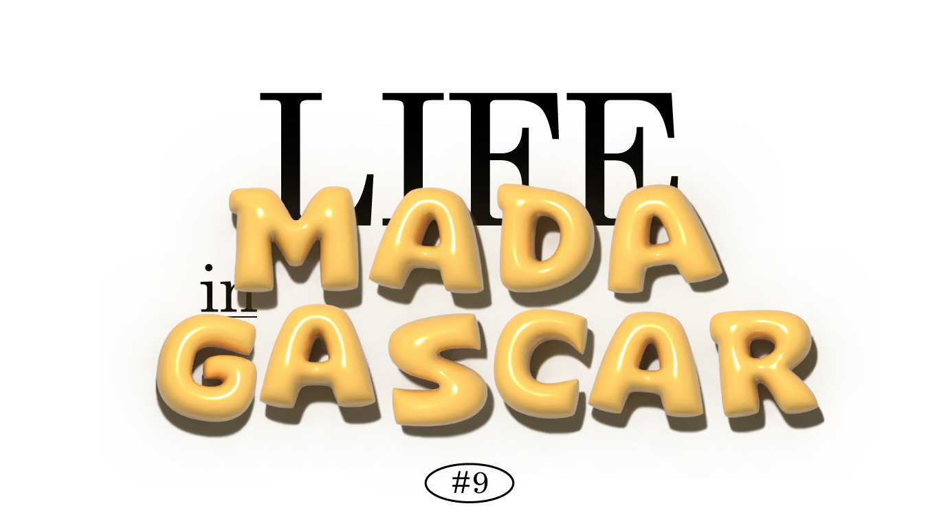 #9 🥹 마다가스카르에 온 지 두 달이 되었다!의 썸네일 이미지