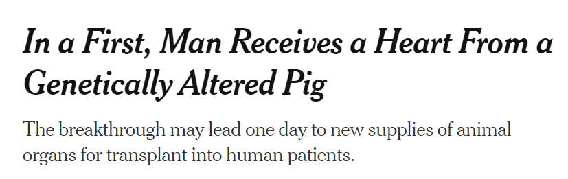 In a First, Man Receives a Heart From a Genetically Altered Pig - The New York Times (nytimes.com)