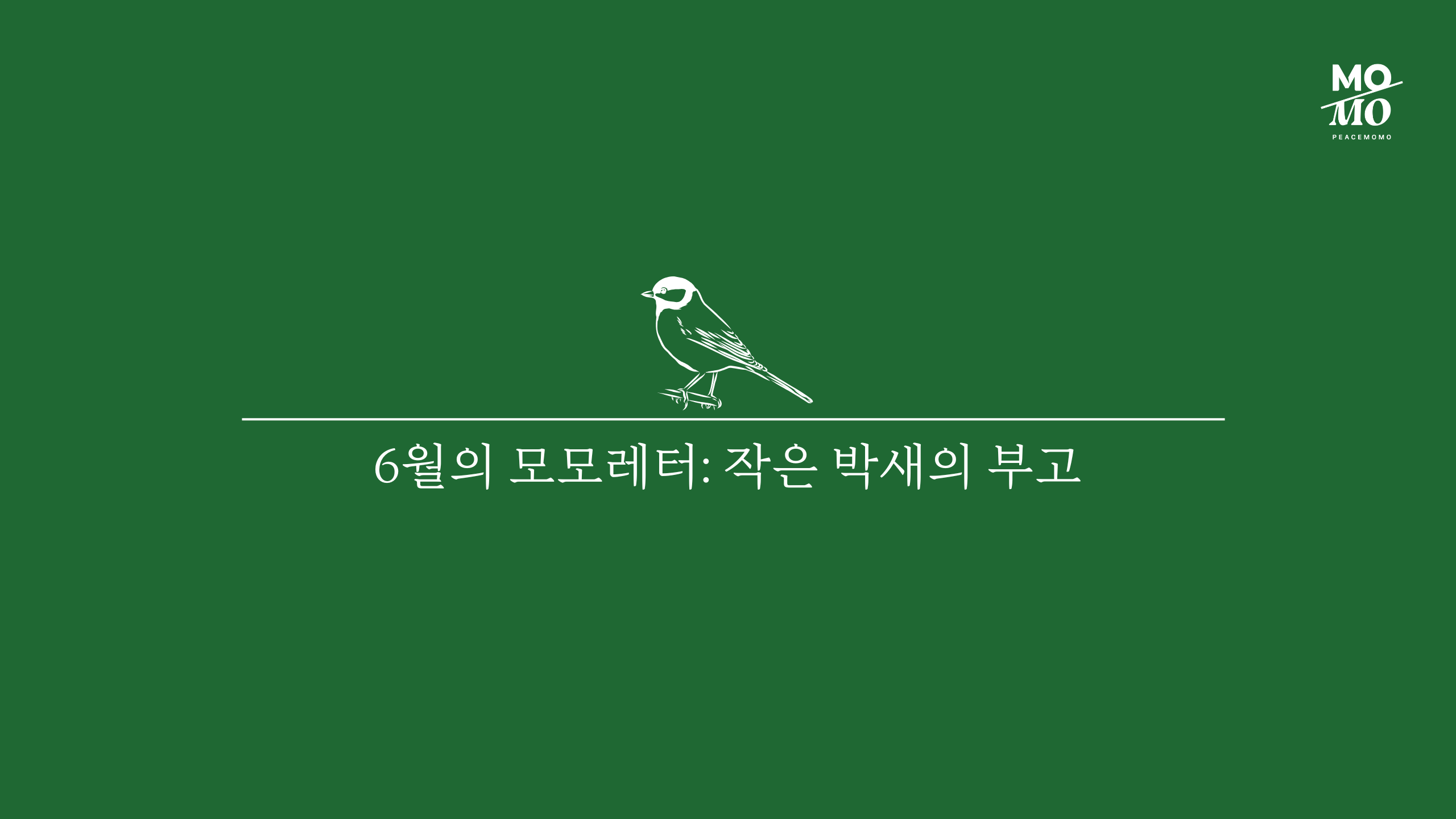 작은 박새의 부고의 썸네일 이미지