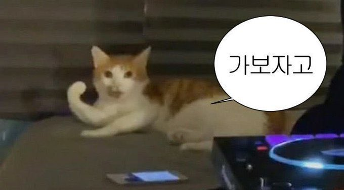첨부 이미지