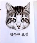 행복한 거 맞음...