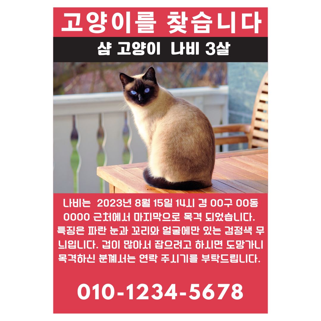 [동물 : 나눔] 실종 반려동물 포스터 의 썸네일 이미지