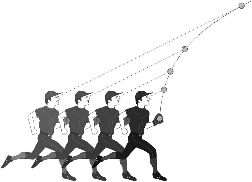 외야수가 공을 잡는 법, 매가 오리를 잡는 법, 전투기가 폭격기를 잡는 법의 썸네일 이미지