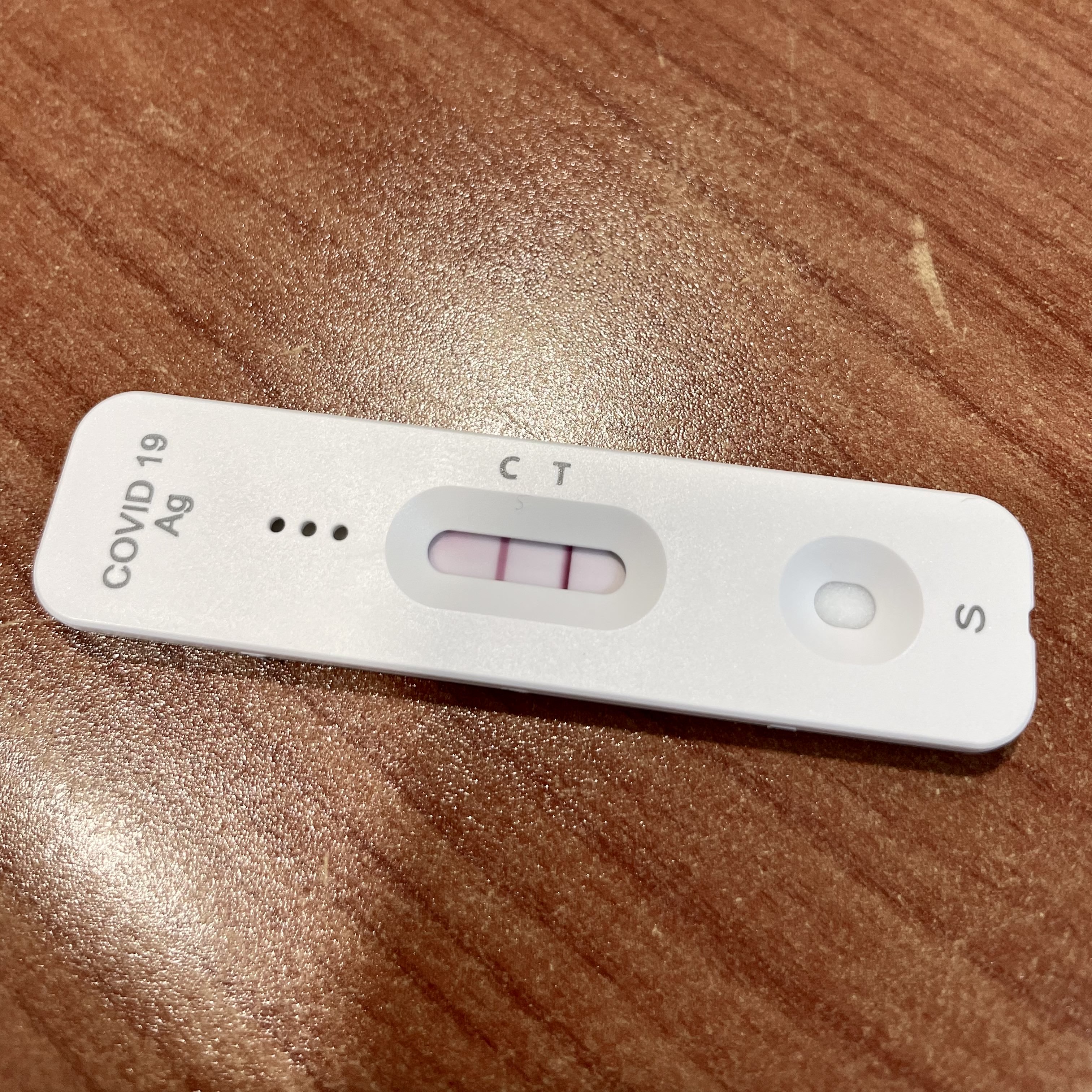 T는 C보다 진하다. 아. 역시는 역시나군. 그렇게 격리가 시작됐다.