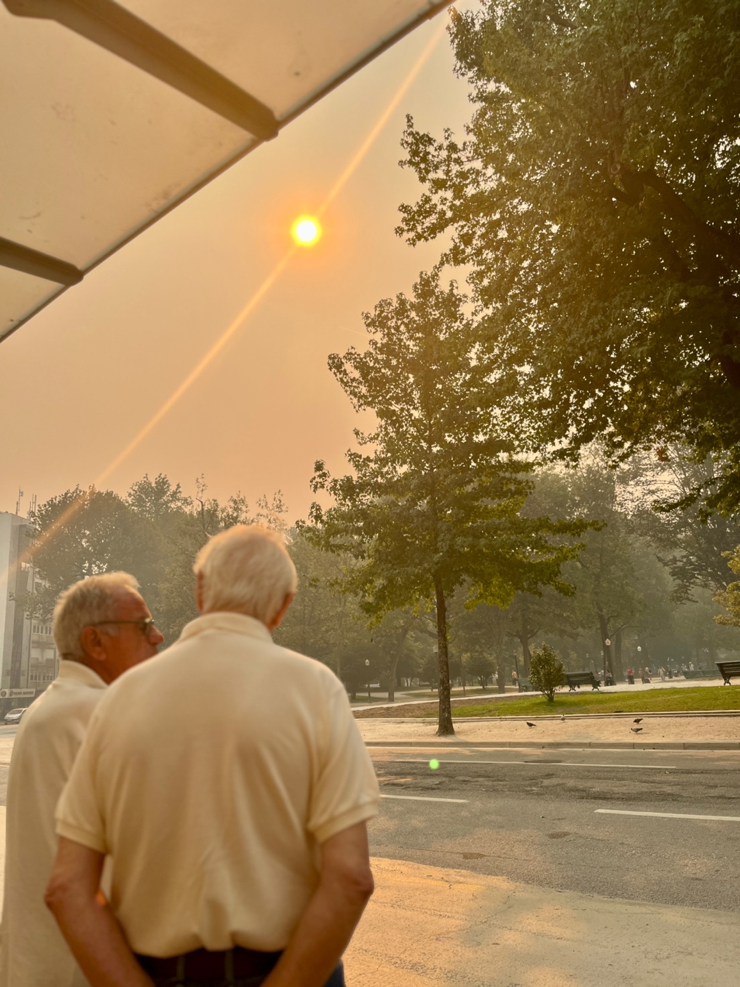 여름과의 작별인사는 이 소설로 해보게의 썸네일 이미지