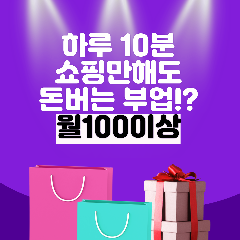 SNS없어도 쇼핑하고 월 100 돈버는 부업 의 썸네일 이미지