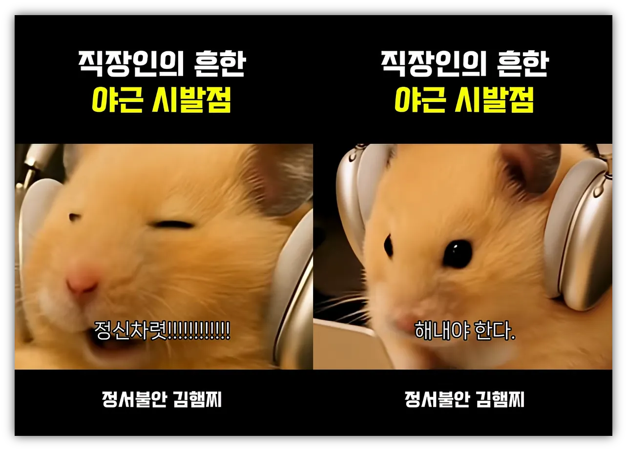 출처 : 정서불안 김햄찌 유튜브